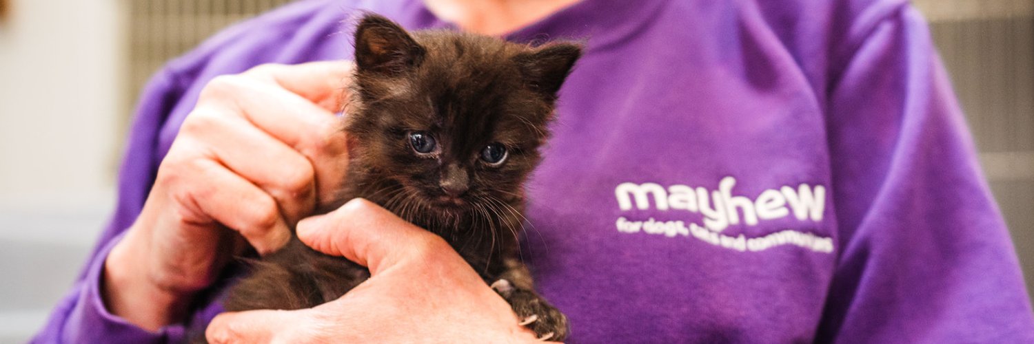 Mayhew 🐶🐱's banner