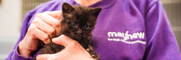 themayhew Profile Banner
