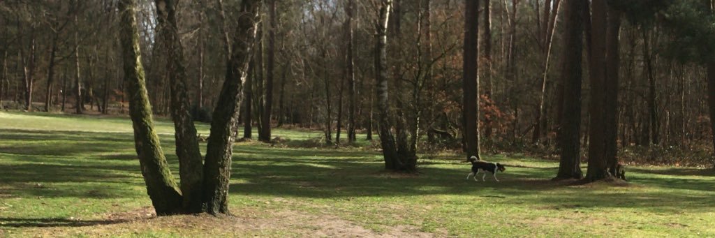 RubennoZ's profile banner image