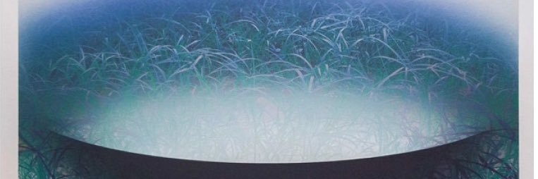 Crop Circle Press banner