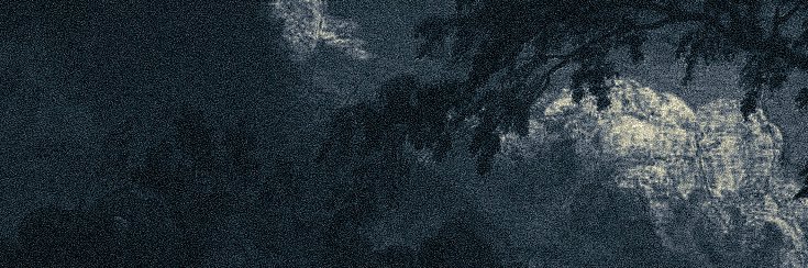 𝐦𝐮𝐬𝐞, banner