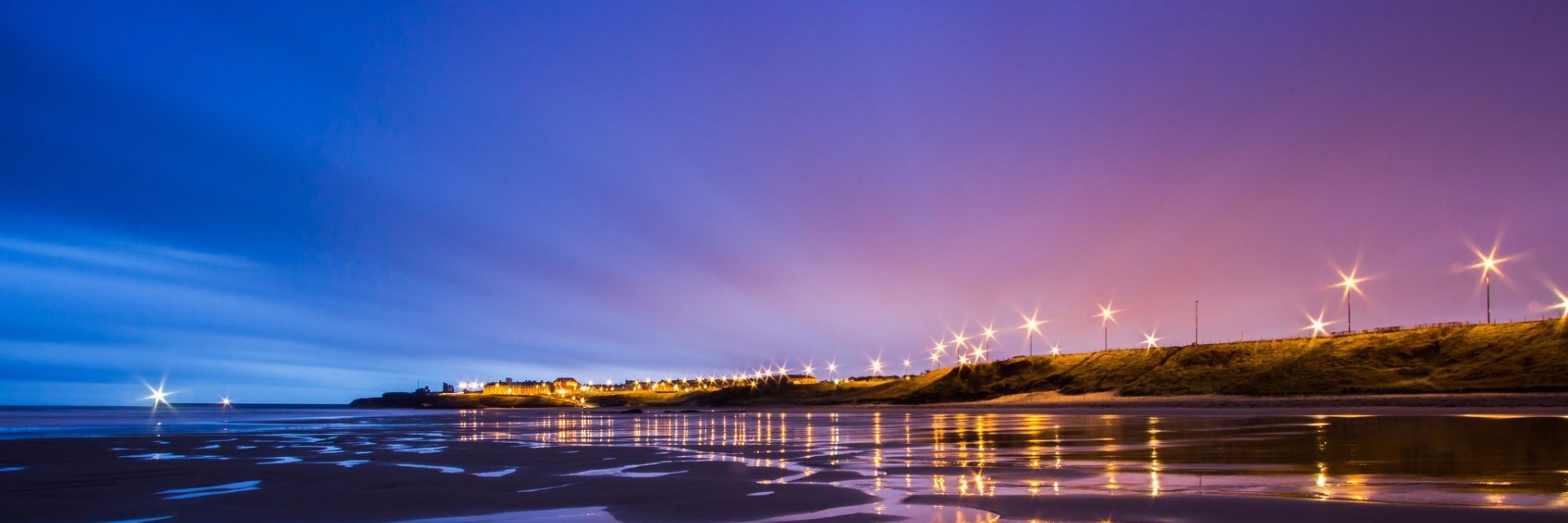 Haylee banner