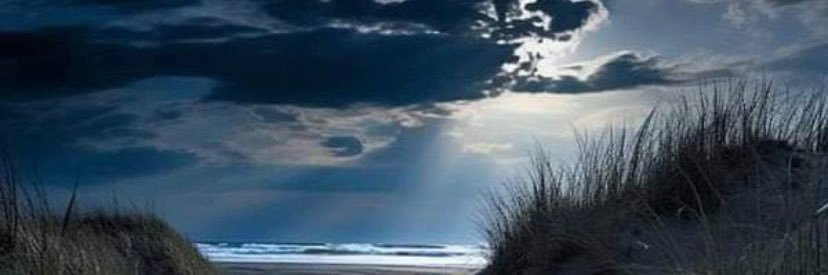 Boomerchi banner