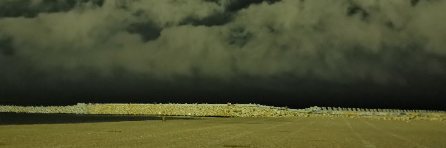 Vladimiriovich banner