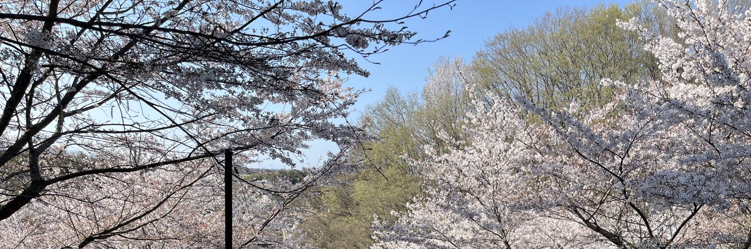 みらくる's banner