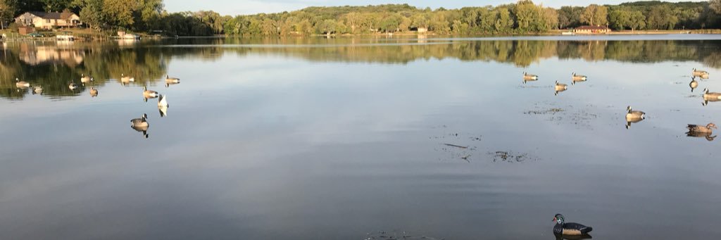 dellis5021's profile banner image