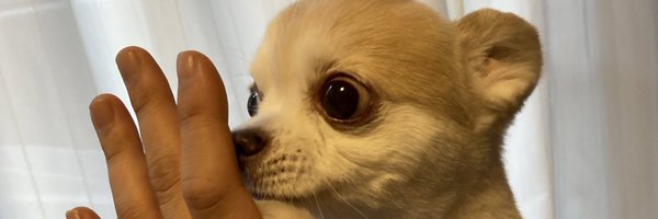 futamifull Profile Banner