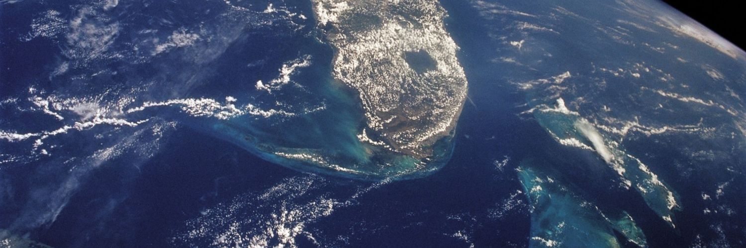 The Stool Of Wisdom𓃵 banner