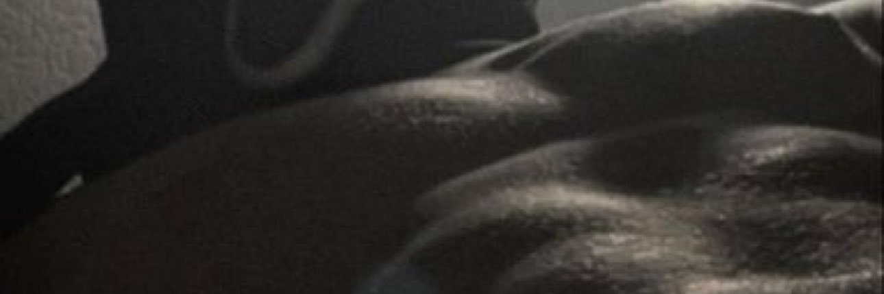 xldesi07 banner