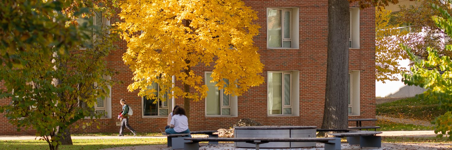 Brandeis University banner