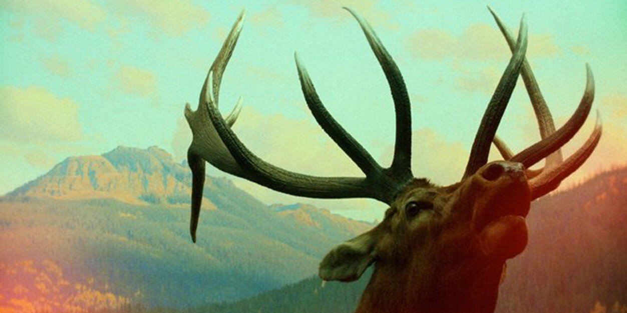 ___saulo's profile banner image