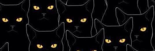 lubbar_'s profile banner image
