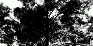 andy_crazy's profile banner image
