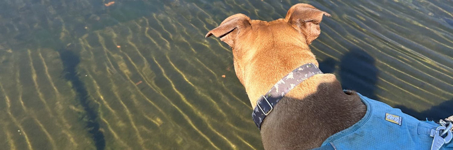 Shembabes's profile banner image