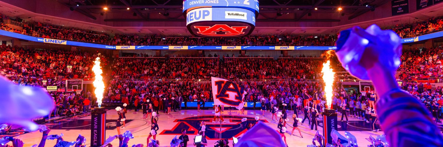 Gavyn Bridges 🦚 ✈️ banner