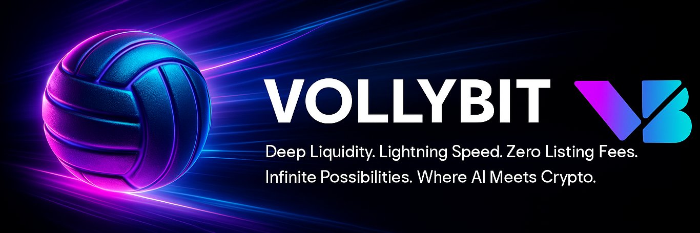 VollyBit banner