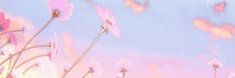 AfterNyan's profile banner image