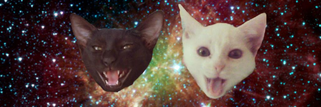 frammbarros's profile banner image