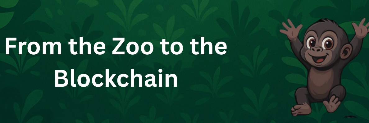 KaiusCoin_Team's profile banner image