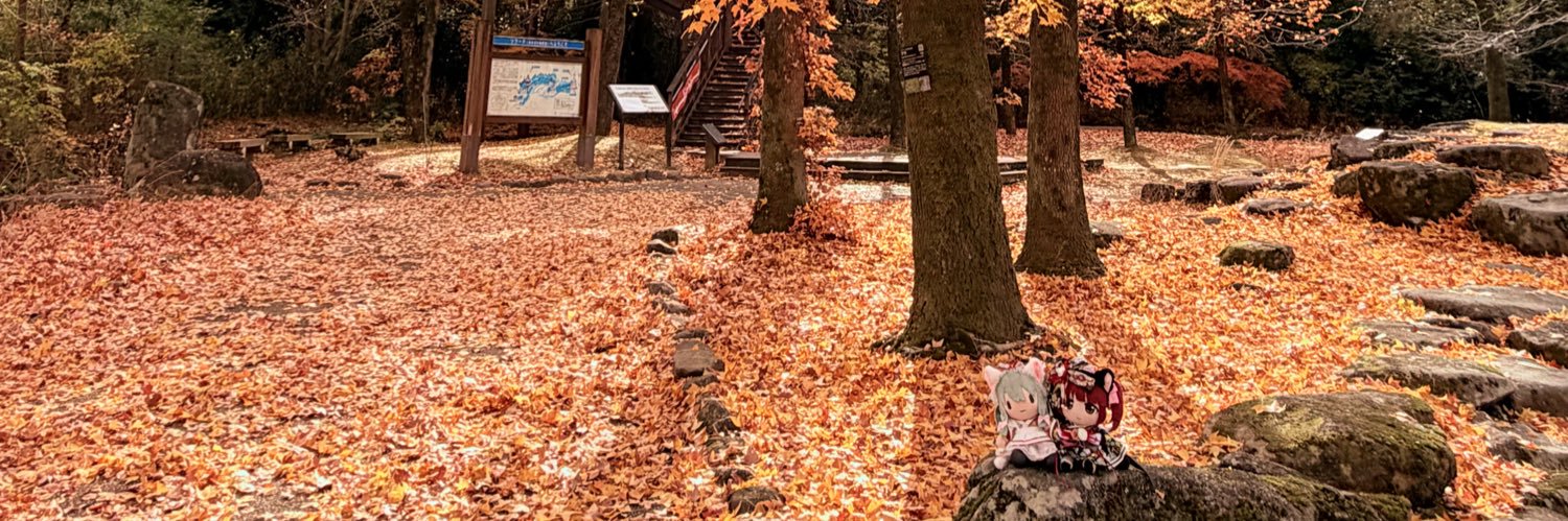 NemuruPhoenix's profile banner image