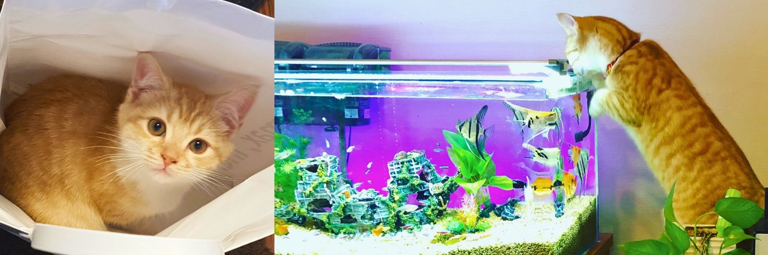 maruo_FD｜R8中小企業診断士受験生 banner