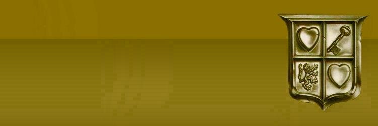 NinjaMarion's profile banner image