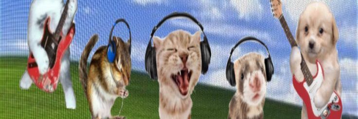 Eum💥 banner