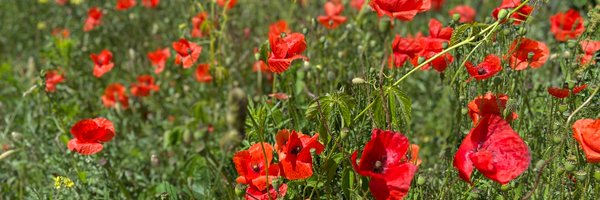 hackingb Profile Banner