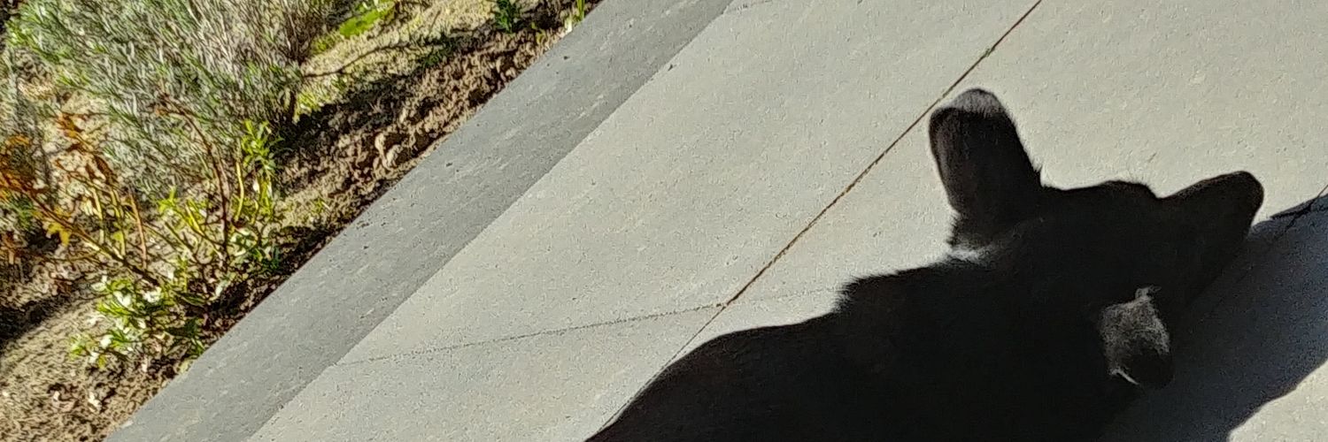 loiskaas's profile banner image
