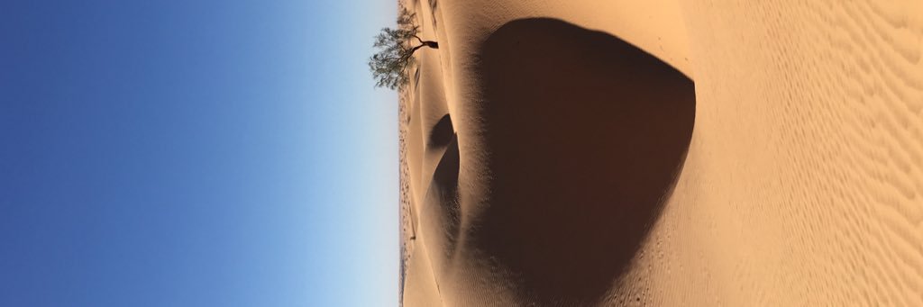 iadh65's profile banner image