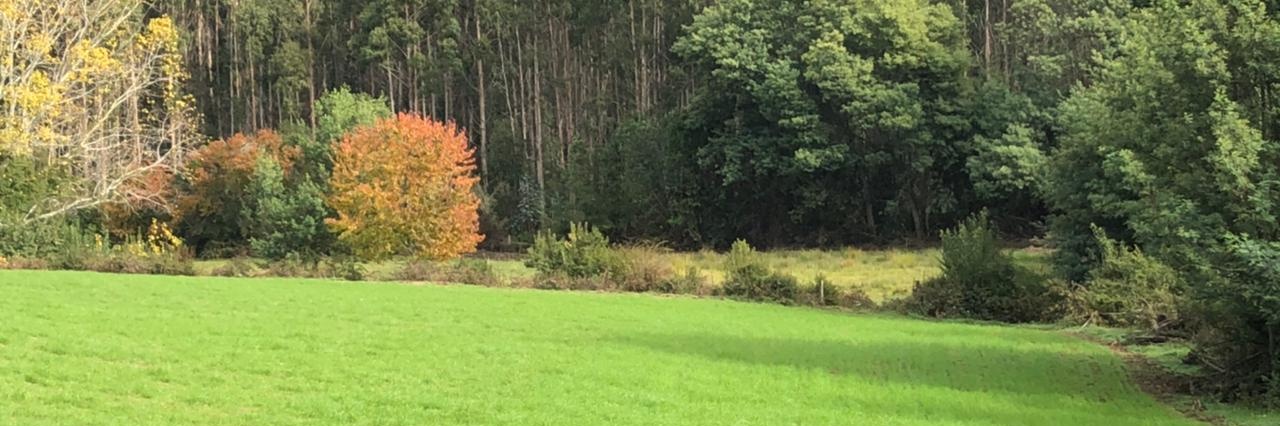 jmollerch's profile banner image