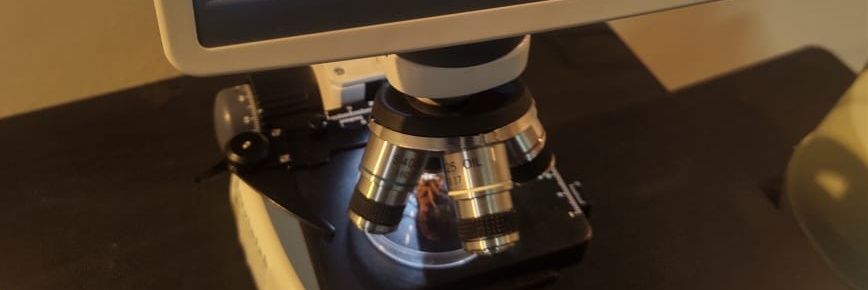Servinlab's profile banner image