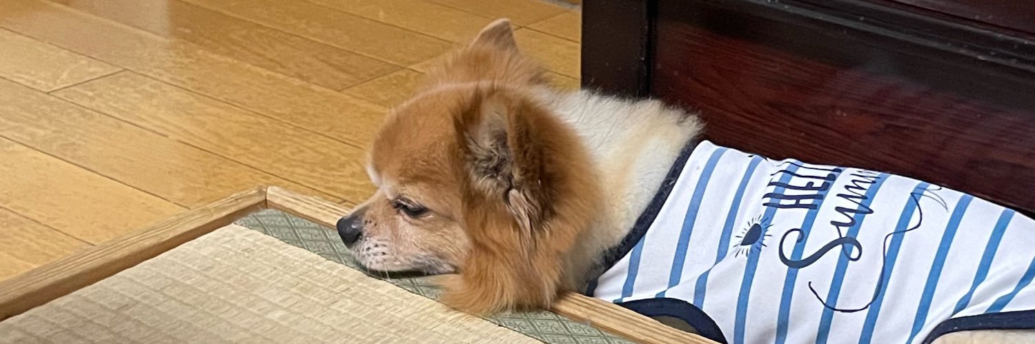 みつき(ぱんだ) banner