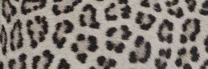 dantisese's profile banner image