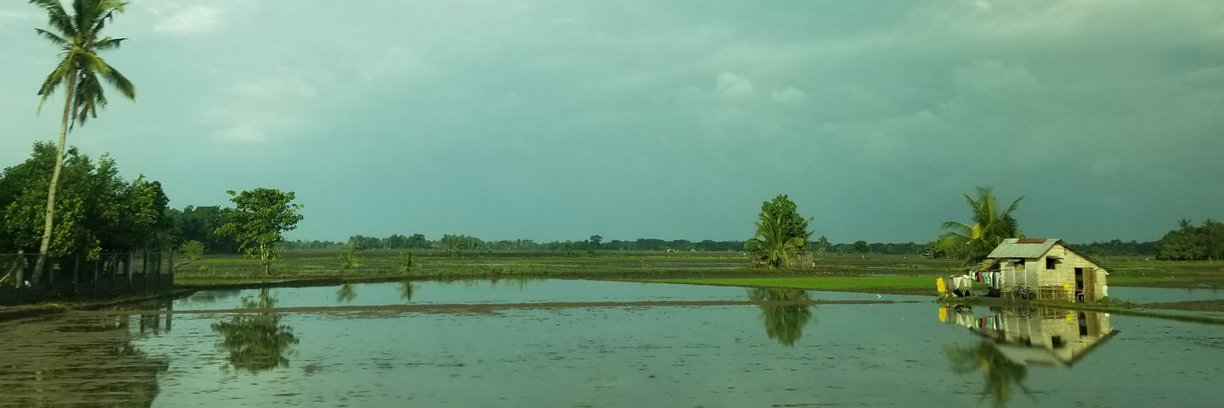 laurencelew's profile banner image