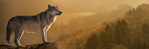 AdamAwalsh400's profile banner image