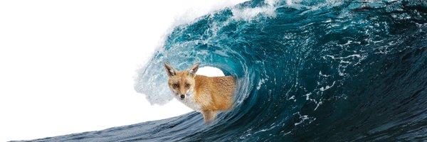 nerinerilive Profile Banner