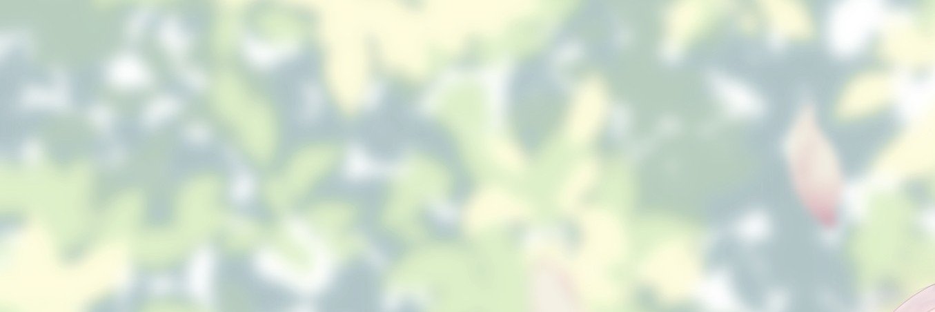 ritome banner
