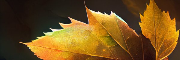 mdemran77 Profile Banner