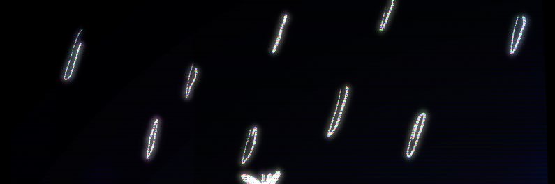 Khess banner