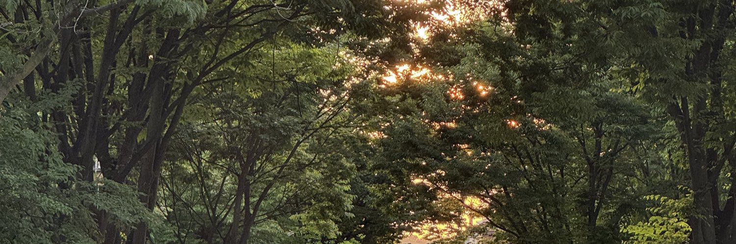 째지캣 banner