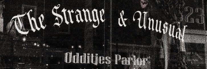 𝐚𝐫𝐢 𓏲 ๋࣭ ࣪ ˖ .ᐟ banner