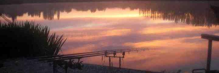 SE_Carpers's profile banner image