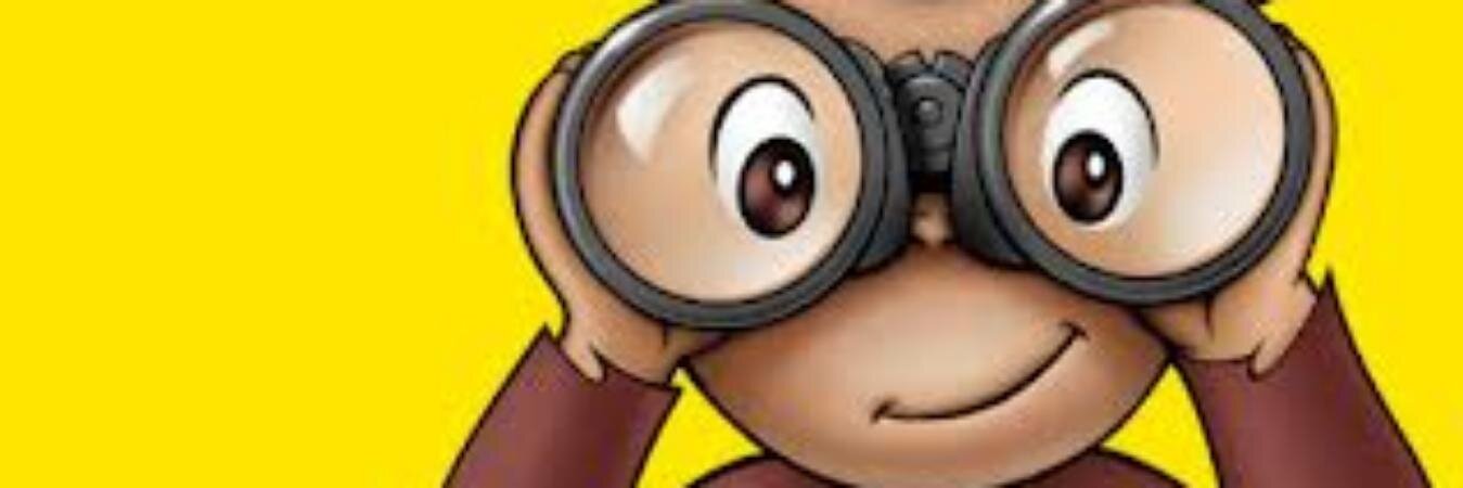 mariarochinski's profile banner image