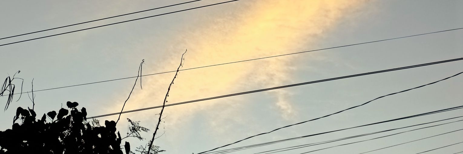 Amzzzzlia's profile banner image