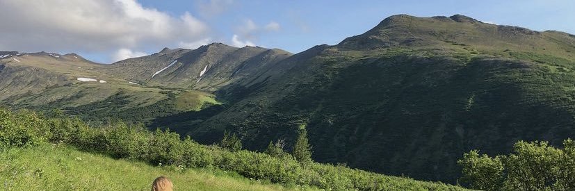molliebernhoft's profile banner image