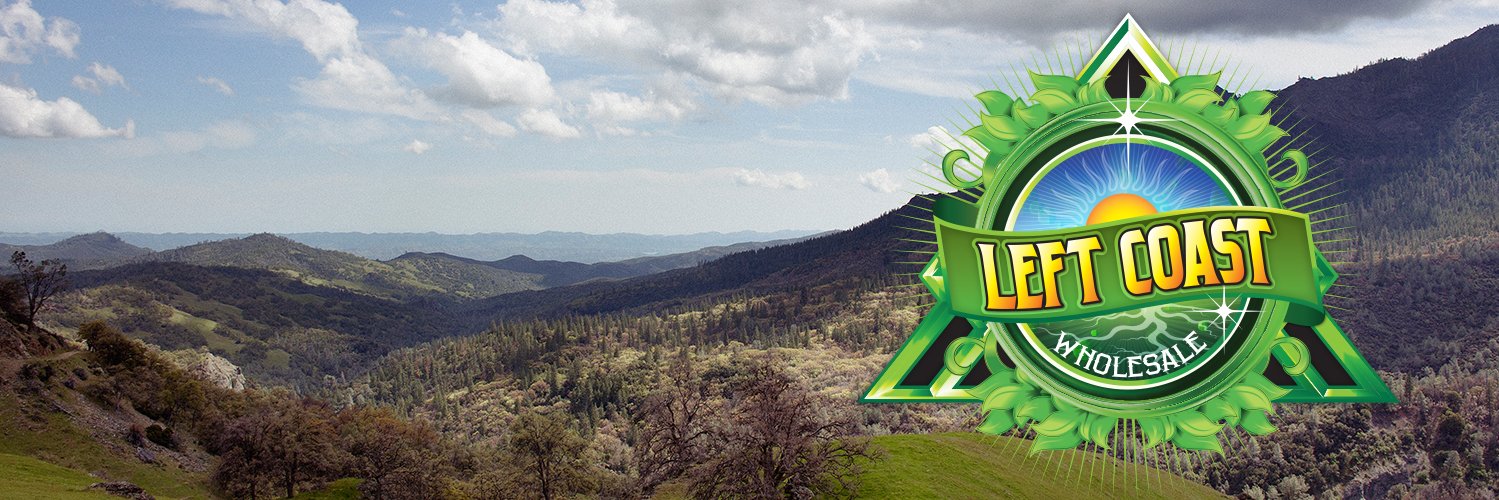 LeftCoastWS's profile banner image