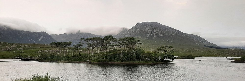 Mícheál Flynn banner