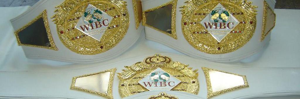 WIBCboxing's profile banner image