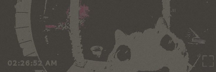beaumislei's profile banner image